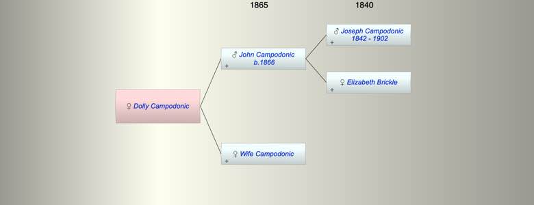 Dolly Campodonic