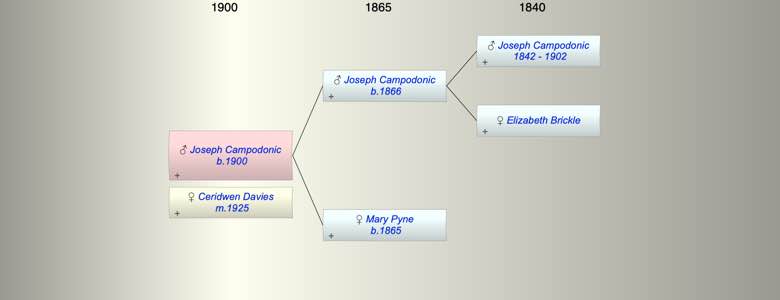 Joseph (Coy) Campodonic